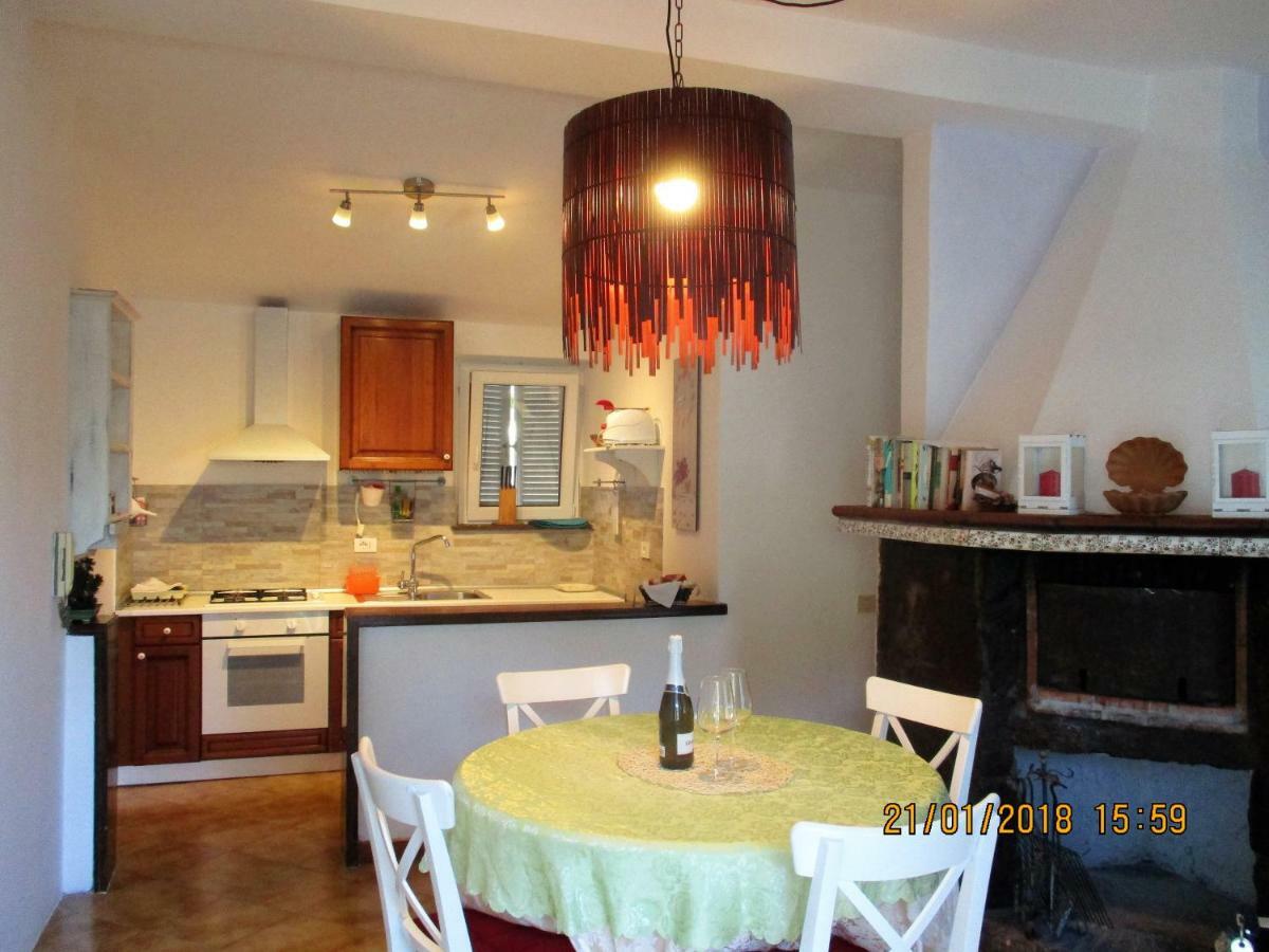 Villa D Apartments Marino Exteriér fotografie